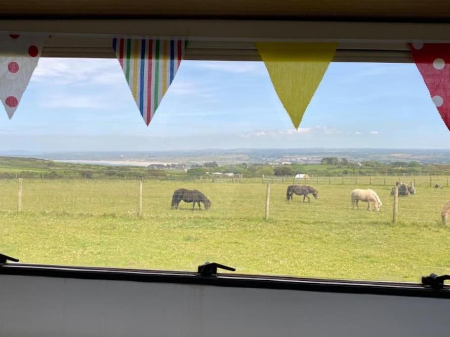 Lily Cosy Campervan With Sea Views & Amazing Sunrises St Ives Exterior foto
